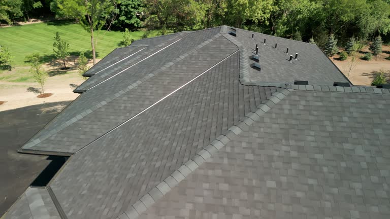 Best Roof Ventilation Installation  in Henderson, TX