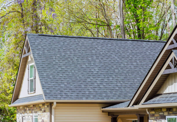 Best Solar Panel Roofing Installation  in Henderson, TX