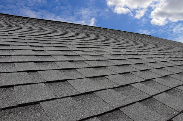 Best Skylight Installation and Repair  in Henderson, TX